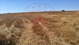 Çorum Alaca Büyükhırka Köyü Milli Emlak'tan Satılık 7.500,00 m2 Tarla