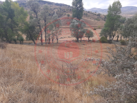 Sivas Merkez Asarcık Köyü Milli Emlak'tan Satılık 692,33 m2 Tarla