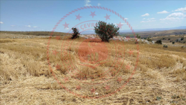 Çorum Alaca Büyükhırka Köyü Milli Emlak'tan Satılık 1.156,20 m2 Tarla