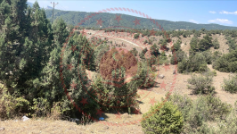 Kastamonu Taşköprü Hamzaoğlu Köyü Milli Emlak'tan Satılık 1.894,04 m2 Tarla