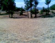 Denizli Acıpayam Kelekçi Mahallesi Milli Emlak'tan Satılık 681,00 m2 Arsa