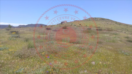 Elazığ Sivrice Akbuğday Köyü Milli Emlak'tan Satılık 6.463,89 m2 Tarla
