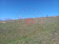 Karabük Eskipazar Doğlacık Köyü Milli Emlak'tan Satılık 10.705,57 m2 Tarla