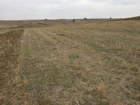 Edirne Uzunköprü Kiremitçisalih Köyü Milli Emlak'tan Satılık 3.718,37 m2 Tarla