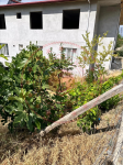 Tokat Erbaa Karayaka - Yukarı Mahalle Milli Emlak'tan Satılık 197,44 m2 Arsa