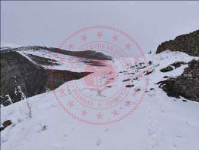 Erzurum Tortum Taşoluk Köyü Milli Emlak'tan Satılık 243,36 m2 Tarla