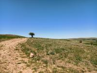 Kayseri Kocasinan Eyim Mahallesi Milli Emlak'tan Satılık 10.716,69 m2 Tarla