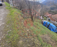 Karabük Merkez Bolkuş Köyü Milli Emlak'tan Satılık 119,26 m2 Tarla