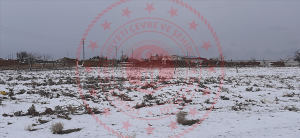 Konya Karatay Büyükburnak Köyü Milli Emlak'tan Satılık 2.386,20 m2 Tarla