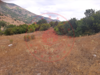 Sivas Merkez Gülpınar Köyü Milli Emlak'tan Satılık 13.930,72 m2 Tarla