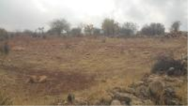 Gaziantep Şahinbey Kürüm Köyü Milli Emlak'tan Satılık 1.430,74 m2 Tarla