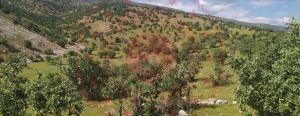 Siirt Eruh Kılıçkaya Köyü Milli Emlak'tan Satılık 43.874,87 m2 Tarla