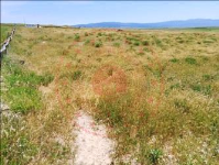 Afyonkarahisar Başmakçı Küllüce Köyü Milli Emlak'tan Satılık 606,62 m2 Arsa