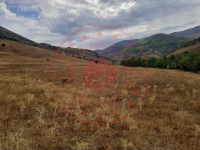 Sivas Merkez Asarcık Köyü Milli Emlak'tan Satılık 3.311,93 m2 Tarla