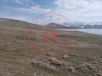 Van Tuşba Gedelova Köyü Milli Emlak'tan Satılık 11.300,00 m2 Tarla