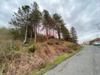 Zonguldak Ereğli Cemaller Köyü Milli Emlak'tan Satılık 860,54 m2 Tarla