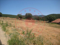 Kütahya Merkez Ürünlüçiftliği Köyü Milli Emlak'tan Satılık 1.378,98 m2 Tarla