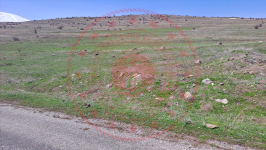 Erzincan Tercan Tepebaşı Köyü Milli Emlak'tan Satılık 500,00 m2 Tarla