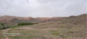 Malatya Akçadağ Esenbey Milli Emlak'tan Satılık 19.512,84 m2 Tarla