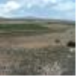 Afyonkarahisar Emirdağ Tepeköy Köyü Milli Emlak'tan Satılık 7.764,00 m2 Tarla