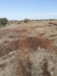 Mardin Nusaybin Üçköy Köyü Milli Emlak'tan Satılık 6.384,02 m2 Tarla