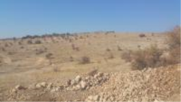 Gaziantep Şahinbey Kürüm Köyü Milli Emlak'tan Satılık 14.499,82 m2 Tarla