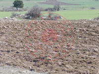 Çorum Mecitözü Bekişler Köyü Milli Emlak'tan Satılık 5.060,23 m2 Tarla