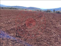 Afyonkarahisar Başmakçı Yaka Köyü Milli Emlak'tan Satılık 6.250,00 m2 Tarla