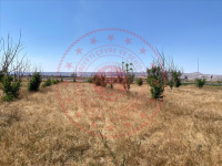 Kayseri Kocasinan Saraybosna Mahallesi Milli Emlak'tan Satılık 1.690,00 m2 Arsa
