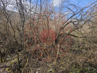 Karabük Merkez Ortaca Köyü Milli Emlak'tan Satılık 301,56 m2 Tarla