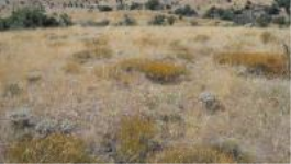 Ankara Çamlıdere Beyler Mahallesi Milli Emlak'tan Satılık 1.026,00 m2 Arsa