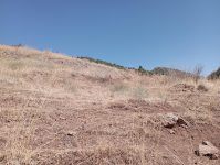 Malatya Hekimhan Dereköy Köyü Milli Emlak'tan Satılık 5.797,29 m2 Tarla