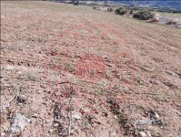 Afyonkarahisar Başmakçı Yaka Köyü Milli Emlak'tan Satılık 9.600,00 m2 Tarla