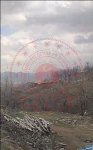 Bingöl Genç Yayla Köyü Milli Emlak'tan Satılık 492,24 m2 Tarla