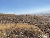 Kayseri Kocasinan Höbek Mahallesi Milli Emlak'tan Satılık 1.631,30 m2 Tarla