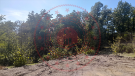 Zonguldak Ereğli Yazıcılar Köyü Milli Emlak'tan Satılık 3.120,02 m2 Tarla