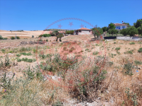 Kırşehir Akçakent Ömeruşağı Köyü Milli Emlak'tan Satılık 672,65 m2 Tarla