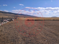 Kars Sarıkamış Ali Sofu Köyü Milli Emlak'tan Satılık 1.500,49 m2 Tarla