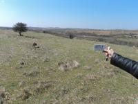 Kırklareli Merkez Karakoç Köyü Milli Emlak'tan Satılık 17.148,43 m2 Tarla