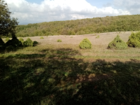 Kocaeli Gebze Denizli Köyü Milli Emlak'tan Satılık 2.334,20 m2 Tarla