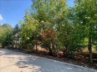 Düzce Gümüşova Kültür Mahallesi Milli Emlak'tan Satılık 541,68 m2 Arsa