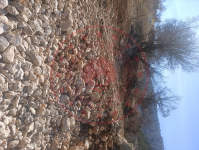 Karaman Ermenek Sarıvadi Köyü Milli Emlak'tan Satılık 2.431,97 m2 Tarla