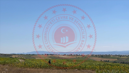 Çorum Alaca Büyükhırka Köyü Milli Emlak'tan Satılık 5.000,00 m2 Tarla