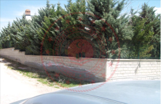 Konya Altınekin Koçyaka Köyü Milli Emlak'tan Satılık 91,00 m2 Tarla