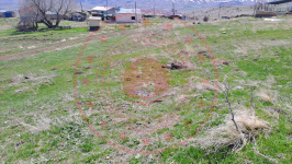 Erzincan Tercan Tepebaşı Köyü Milli Emlak'tan Satılık 504,79 m2 Tarla