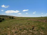 Kayseri Kocasinan Eyim Mahallesi Milli Emlak'tan Satılık 7.351,23 m2 Tarla