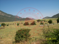 Konya Seydişehir Çatmakaya Köyü Milli Emlak'tan Satılık 1.383,29 m2 Tarla