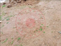 Afyonkarahisar Başmakçı Ovacık Köyü Milli Emlak'tan Satılık 991,49 m2 Tarla