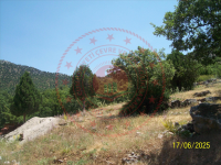 Konya Seydişehir Çatmakaya Köyü Milli Emlak'tan Satılık 1.278,83 m2 Arsa