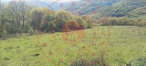 Balıkesir Susurluk Asmalıdere Köyü Milli Emlak'tan Satılık 1.600,00 m2 Tarla